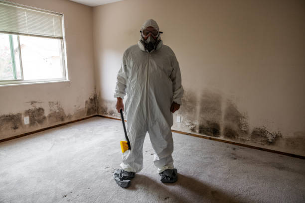 Best Mold Remediation for Healthcare Facilities  in Gibraltar, MI